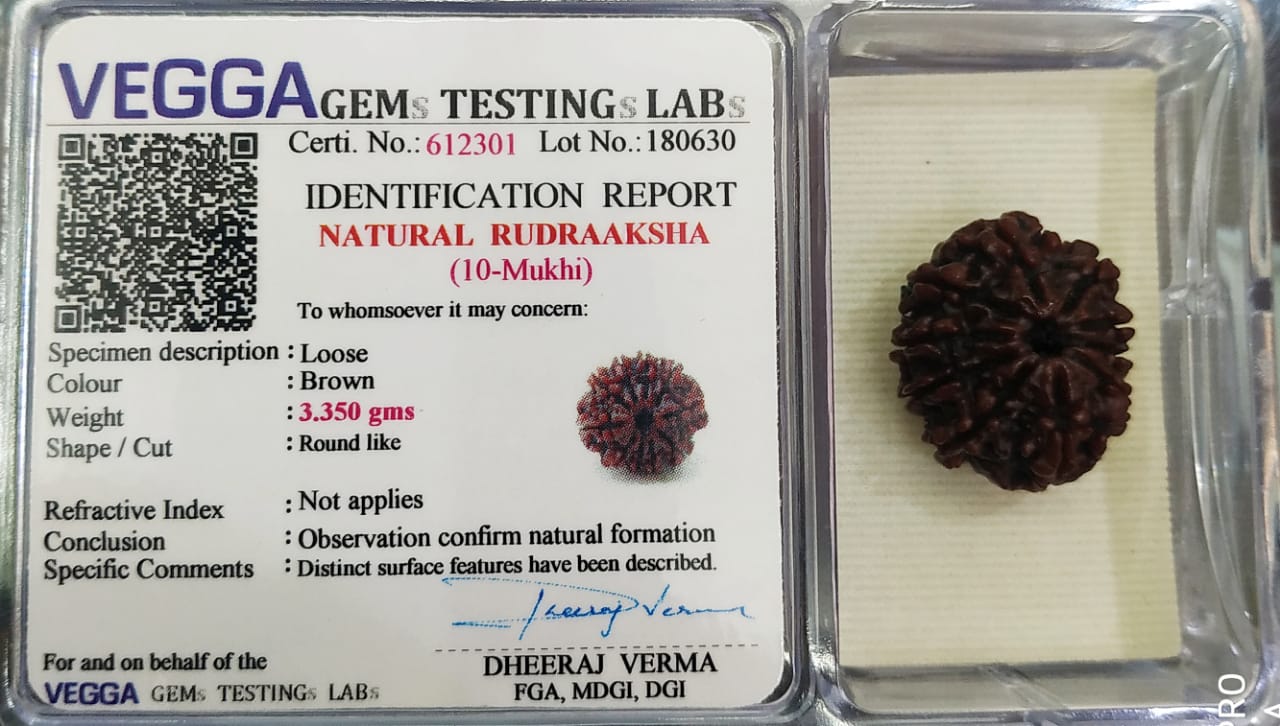 #10MukhiRudraksha #SpiritualProtection #ProsperityBeads #DivineBlessings #HolisticHealing #ChakraBalancing #EnergyShield #SacredBeads #MeditationAid #WealthAttraction #PositiveVibes #NaturalHealing #HealingPower