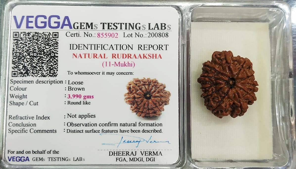 11 Mukhi Rudraksha: Unlock Power, Courage, and Spiritual Awakening#11MukhiRudraksha #CourageAndPower #SpiritualAwakening #HealingBeads #DivineProtection #ChakraHealing #HolisticWellness #SacredBeads #MeditationAid #PositiveEnergy #EnergyBalance #SpiritualGrowth #NaturalHealing