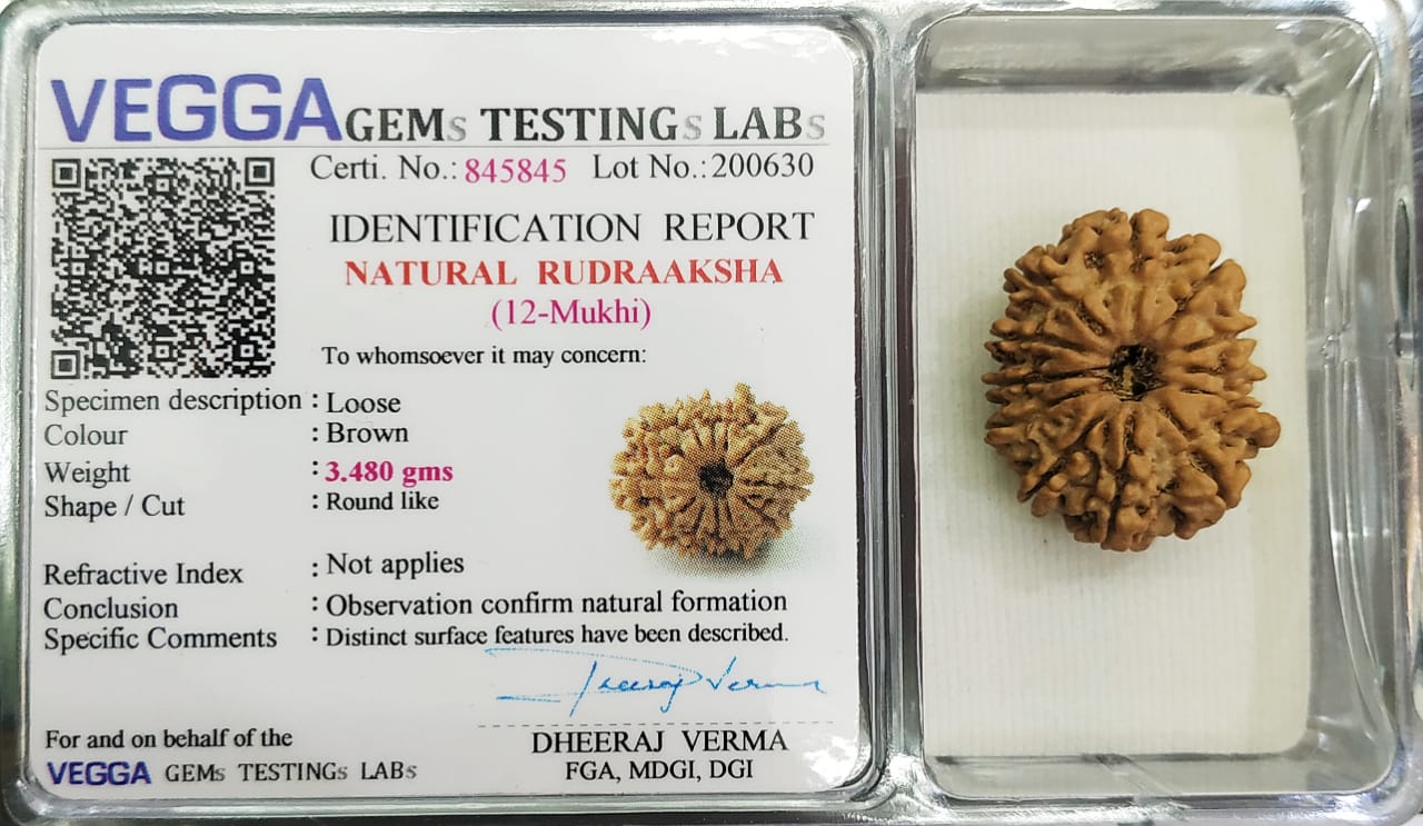 12 Mukhi Rudraksha: Boost Leadership, Confidence, and Divine Guidance#12MukhiRudraksha #LeadershipEnergy #DivineGuidance #ConfidenceBoost #SpiritualHealing #ChakraBalancing #HealingBeads #HolisticWellness #SacredBeads #MeditationAid #PositiveVibes #EnergyHealing #NaturalHealing