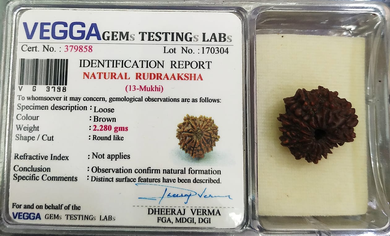 13 Mukhi Rudraksha: Enhance Wisdom, Prosperity, and Inner Peace#13MukhiRudraksha #WisdomEnhancement #InnerPeace #ProsperityBeads #SpiritualHealing #DivineBlessings #ChakraBalancing #HolisticWellness #SacredBeads #MeditationAid #PositiveEnergy #NaturalHealing #EnergyBoost