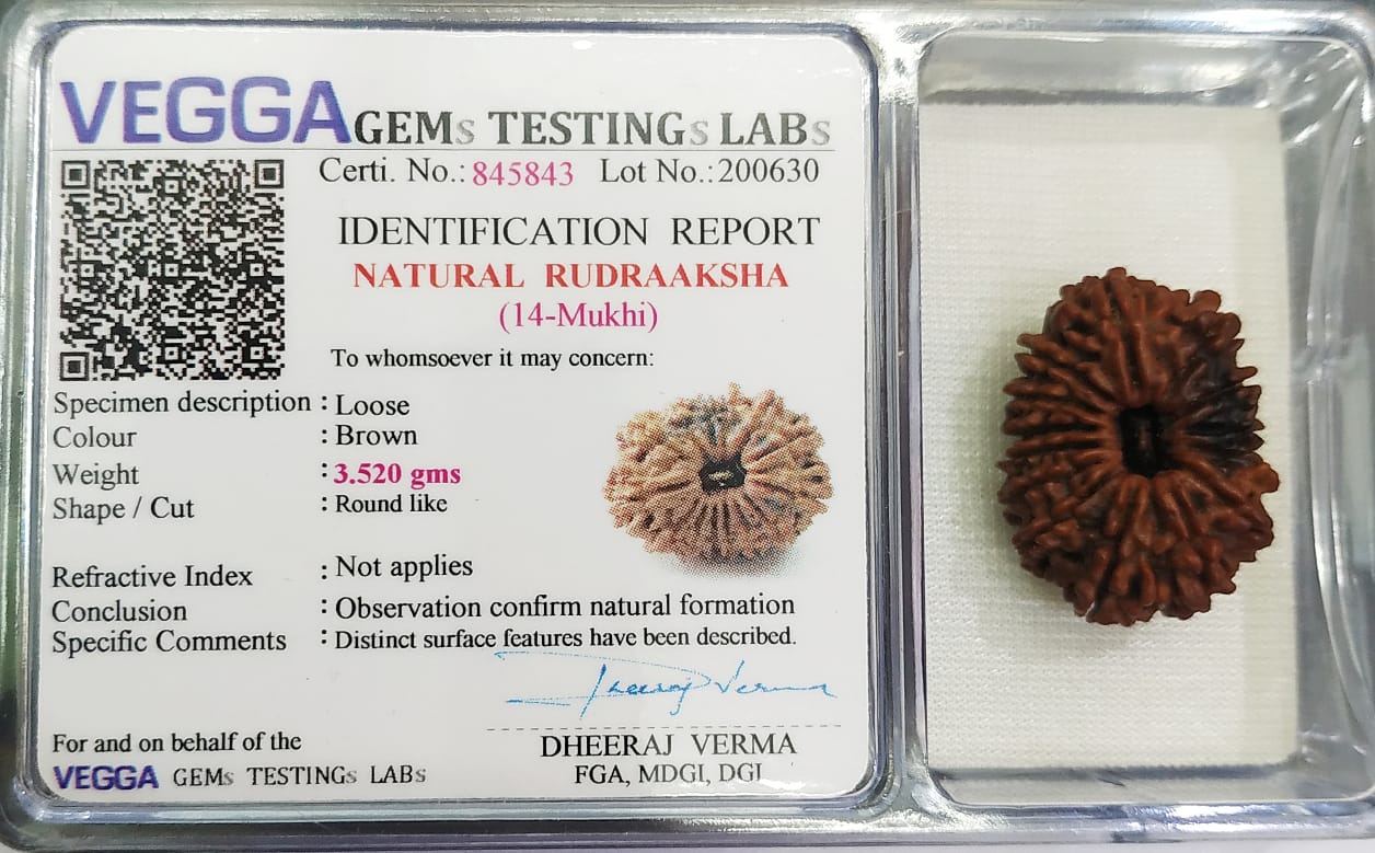 14 Mukhi Rudraksha: Unlock Strength, Spiritual Power, and Success#14MukhiRudraksha #SpiritualPower #StrengthAndSuccess #HealingBeads #DivineBlessings #ChakraBalancing #EnergyHealing #HolisticWellness #SacredBeads #MeditationAid #PositiveVibes #NaturalHealing #WisdomBoost