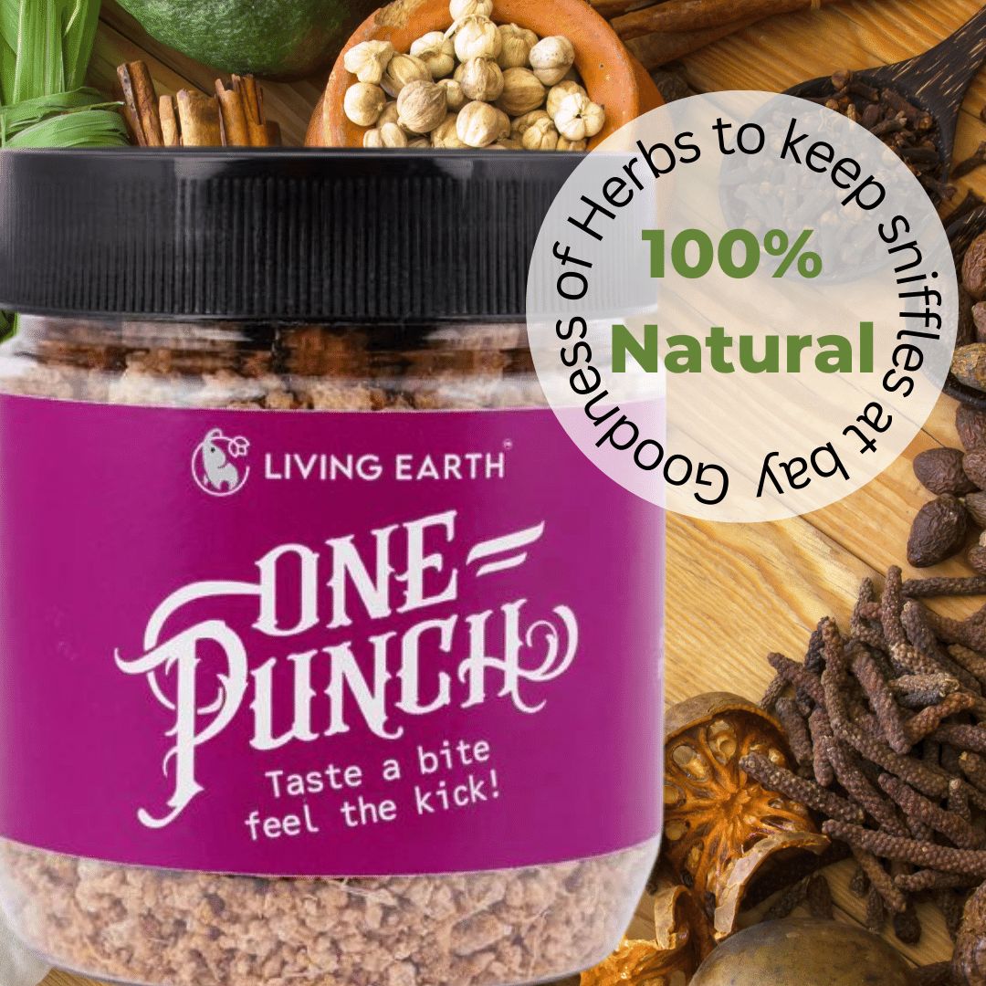 One Punch | Ginger Candy (Living Earth) | For Budha & Guru Graha Remedies