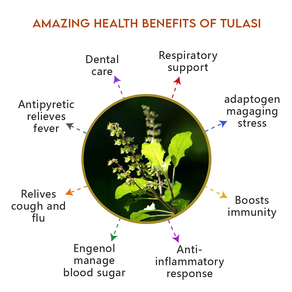 Living Earth Organic Tulsi Flowers, Buds And Leaves For Stress Relief 40 Grams (Living Earth) For Anahata Chakra (Budha Graha)