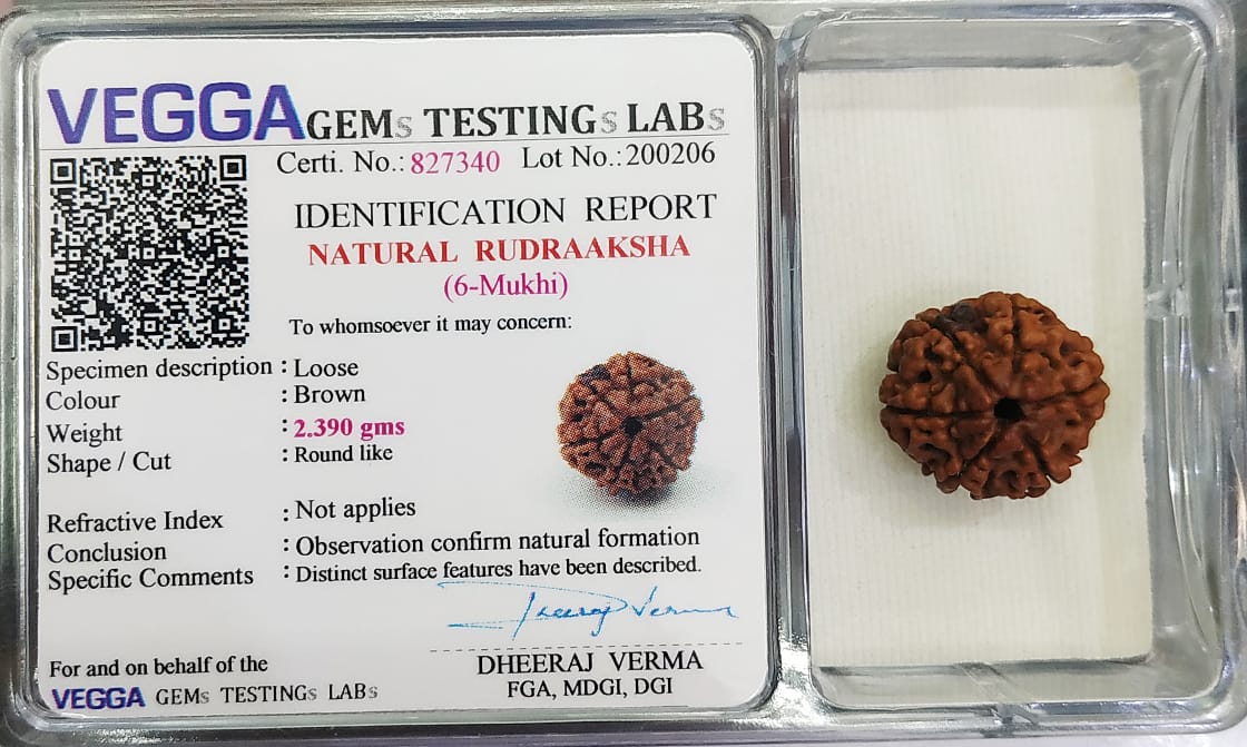 6 Mukhi Rudraksha: Embrace Confidence and Emotional Balance#6MukhiRudraksha #ConfidenceBoost #EmotionalBalance #SpiritualHealing #DivineEnergy #HolisticWellness #MeditationBeads #ChakraHealing #SacredBeads #NaturalRemedy