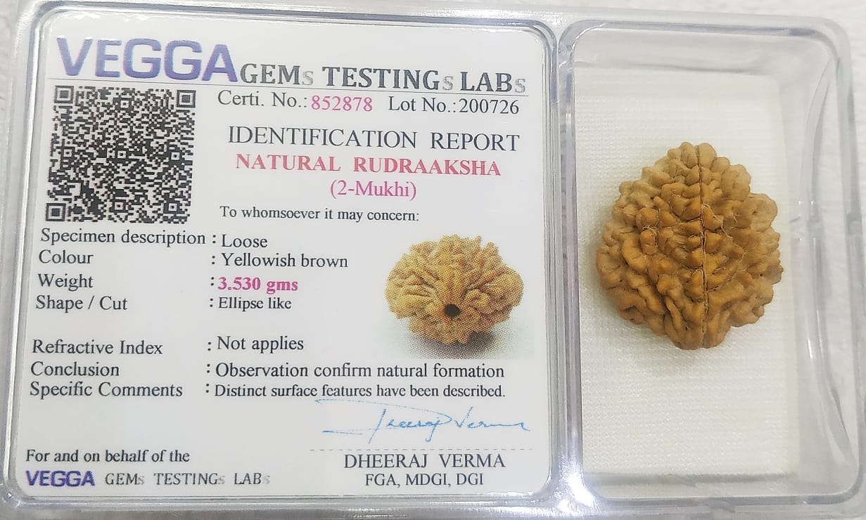 Authentic 2 Mukhi Rudraksha, enhances harmony, relationships, and spiritual growth.
#2MukhiRudraksha #RudrakshaBeads #SpiritualGrowth #RelationshipHealing #EnergyHealing #SacredBeads #MeditationJewelry #DivineBlessings #HealingBeads #RudrakshaHealing