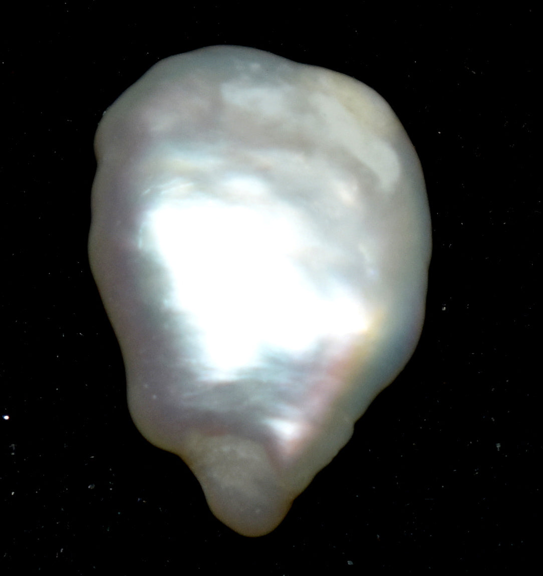 Pearl - Fresh Water Cultured Pearl - 5.30 Carat