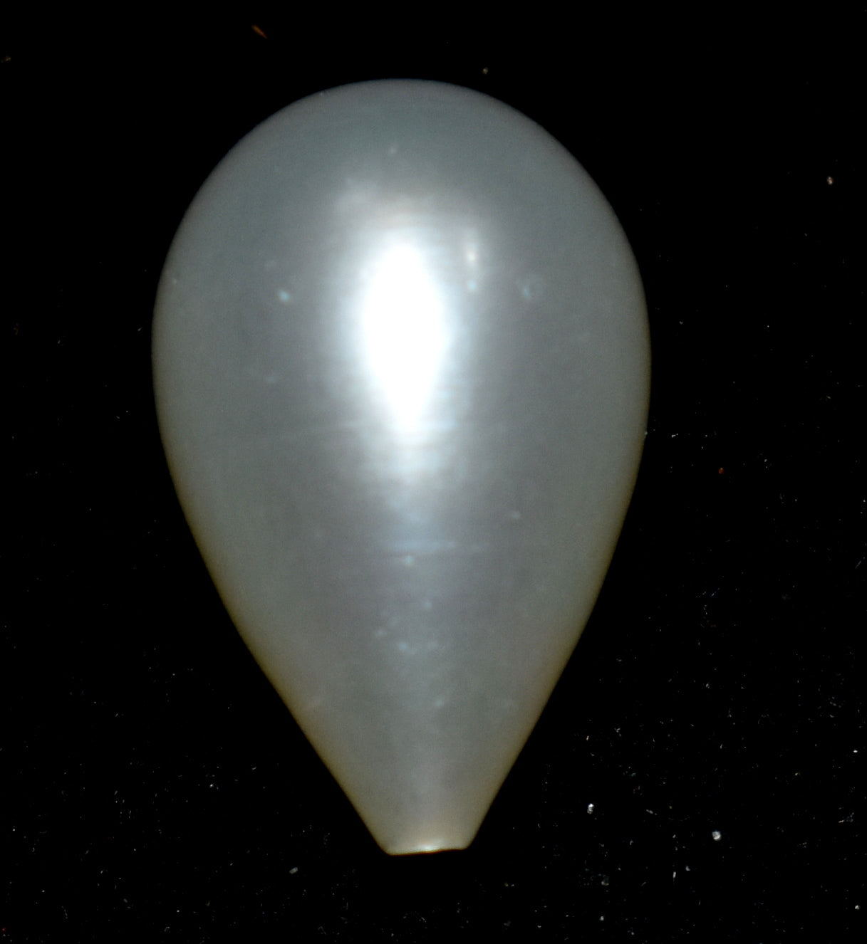Pearl - Fresh Water Cultured Pearl - 7.65 Carat