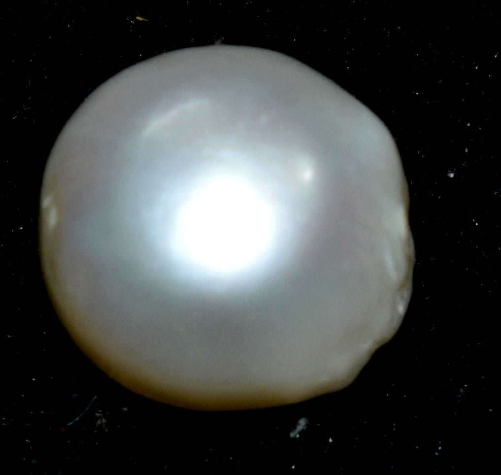 Pearl - Fresh Water Cultured Pearl - 8.75 Carat