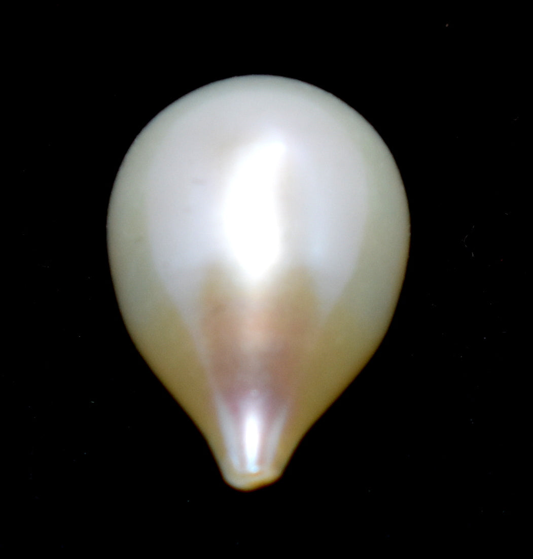 Pearl - Fresh Water Cultured Pearl - 7.15 Carat