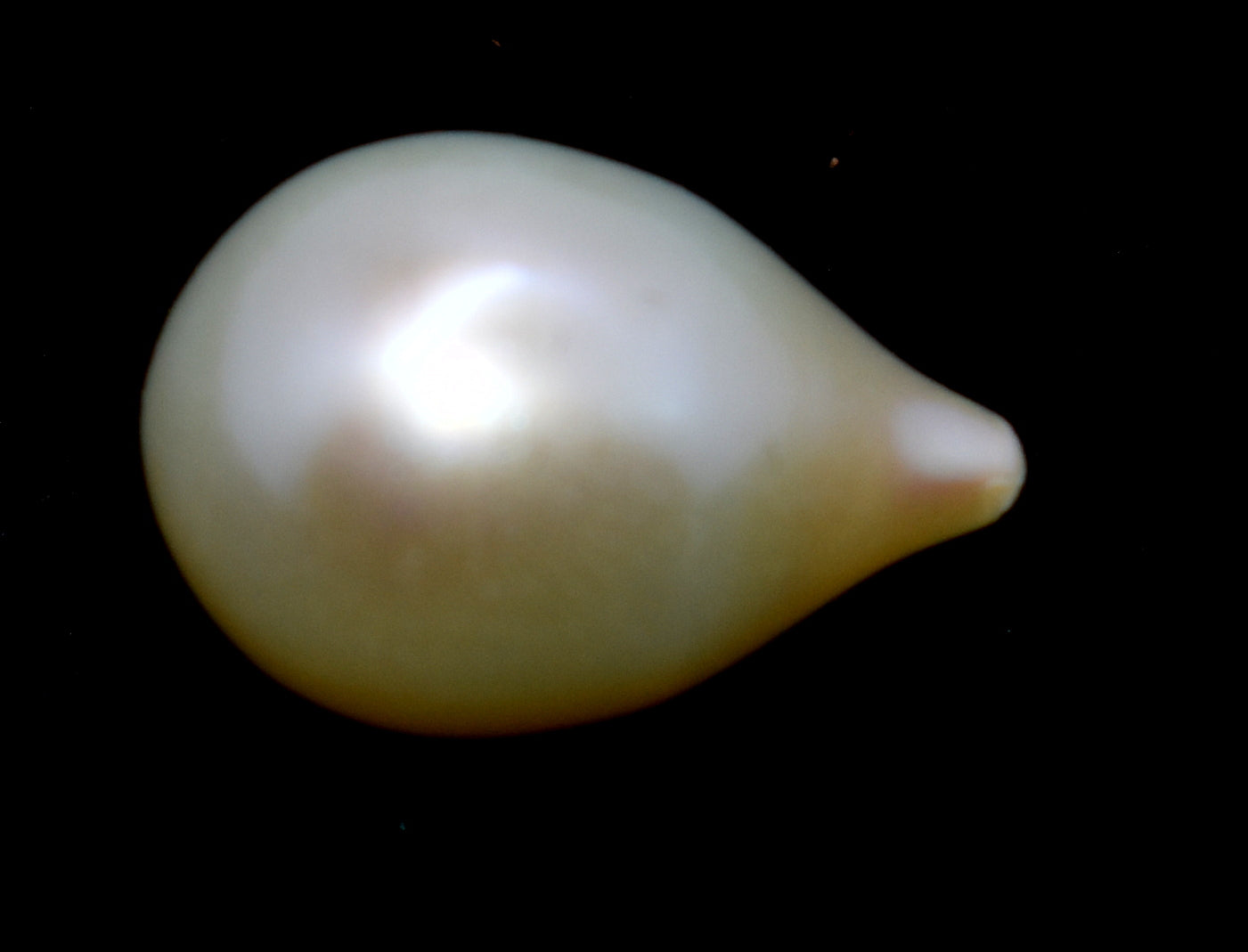 Pearl - Fresh Water Cultured Pearl - 7.15 Carat
