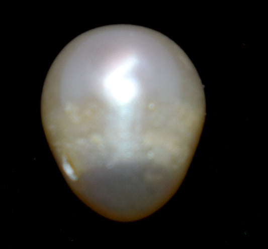 Pearl Fresh Water Cultured Pearl - 5.30 Carat