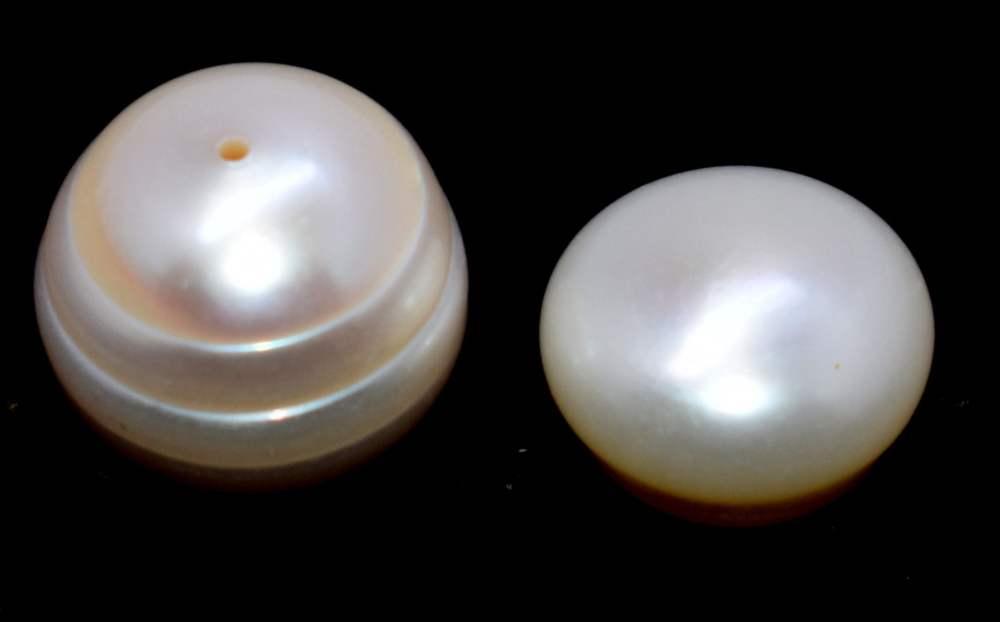 Pearl Saltwater Cultured Pearl - 16.80 Carat