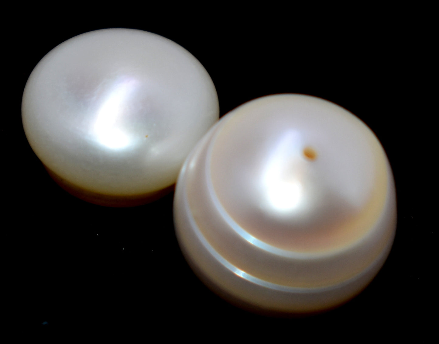 Pearl Saltwater Cultured Pearl - 16.80 Carat