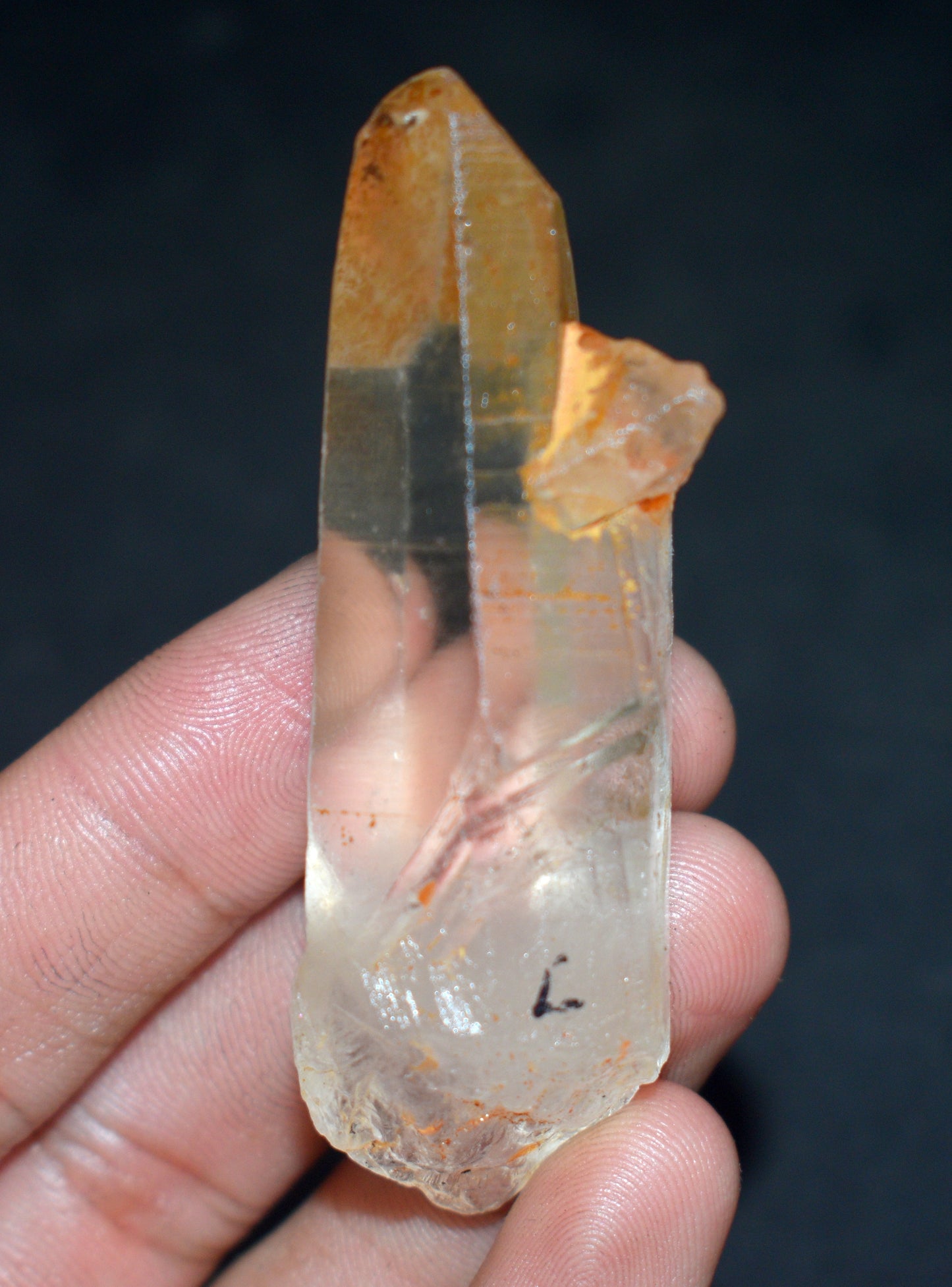 Lemurian Seed Window Crystal Point – Clear Energizing- {Weight- 34.00 Gram},