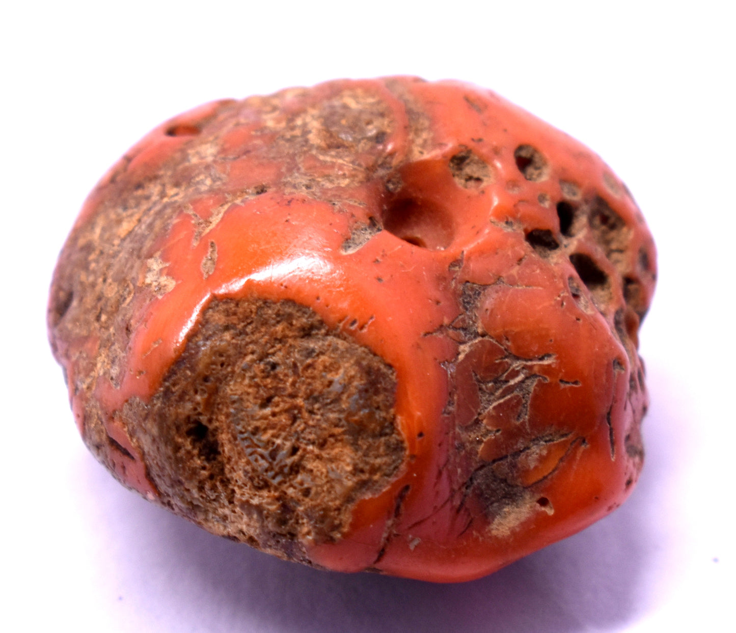 Unique & Natural Red Coral – Enhances Strength, Vitality, and Courage #RedCoral #Strength #Vitality #NaturalGemstone #CrystalHealing