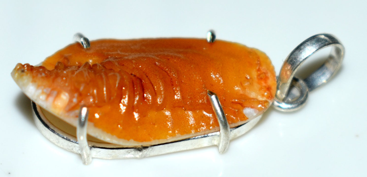 Original Machmani Pendent, Divya Shakti Siddha Venus/Shukra Mani