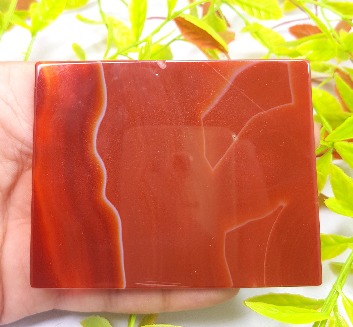 Lovely banded sliced and polished slab of brown agate,