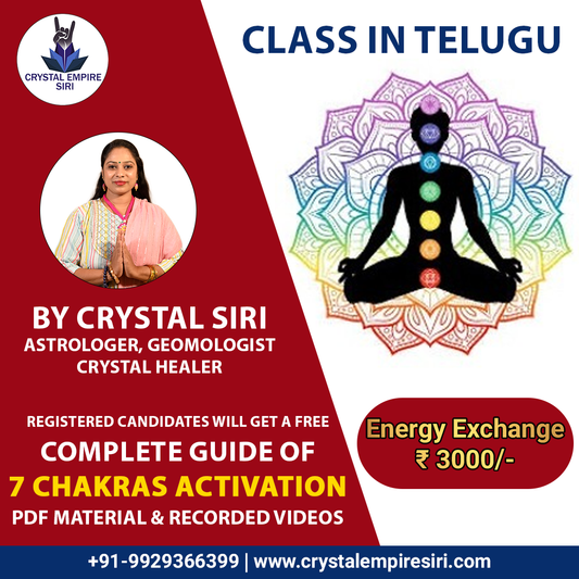 7 Chakras Activation Class Telugu | 7 Chakras  Activation Workshop