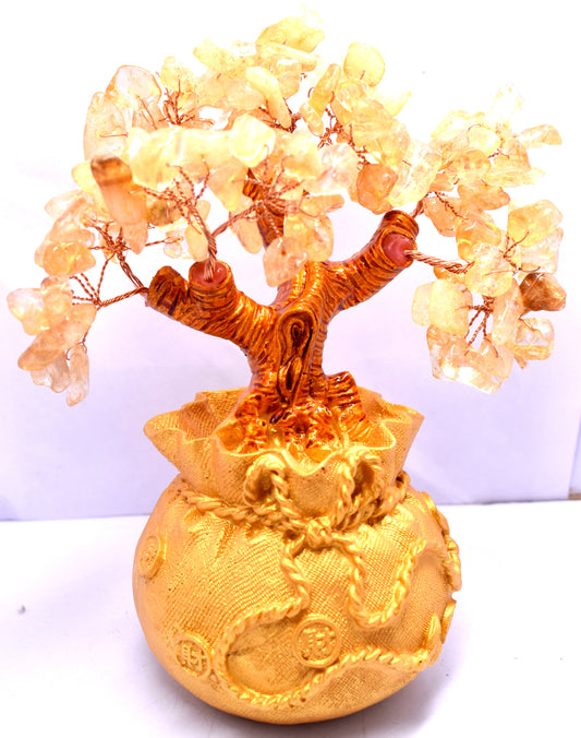 Big Citrine Crystal Money Tree Weight 510.00 Gram 1 Piece
#CitrineCrystal #MoneyTree #Citrine #CrystalTree #HealingCrystals #NaturalGemstones 