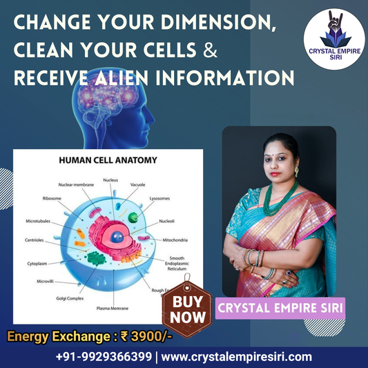 Class To Change Your Dimension, Clean Your Cells & Receive Alien Information