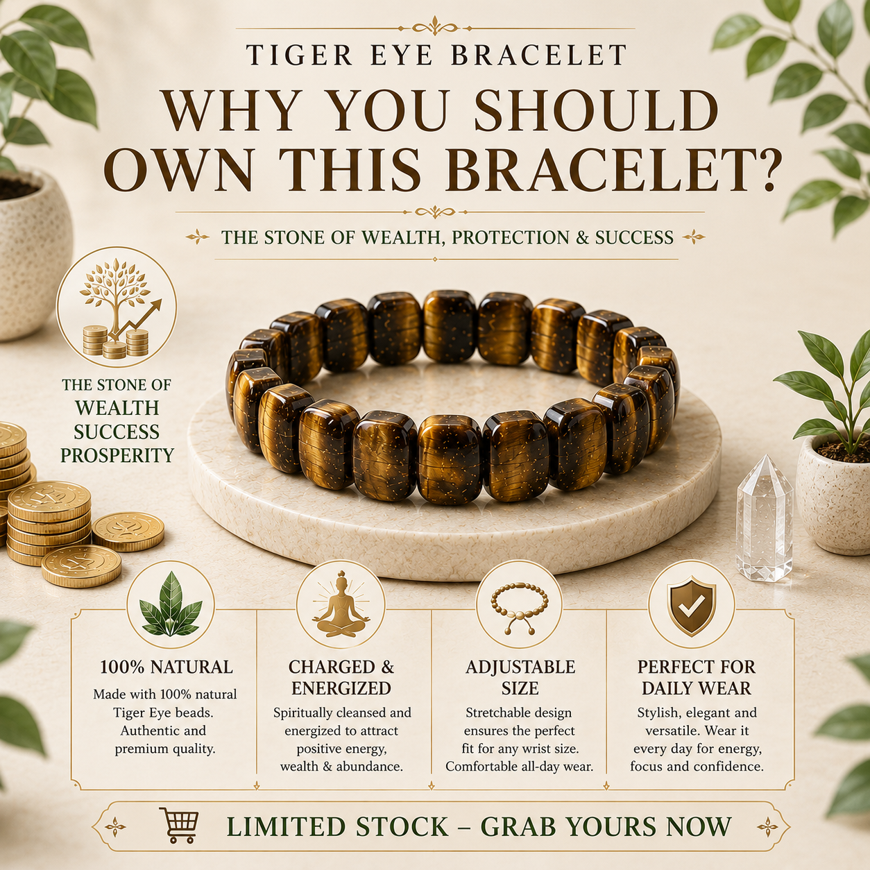 Tiger Eye Adjustable  Bracelet