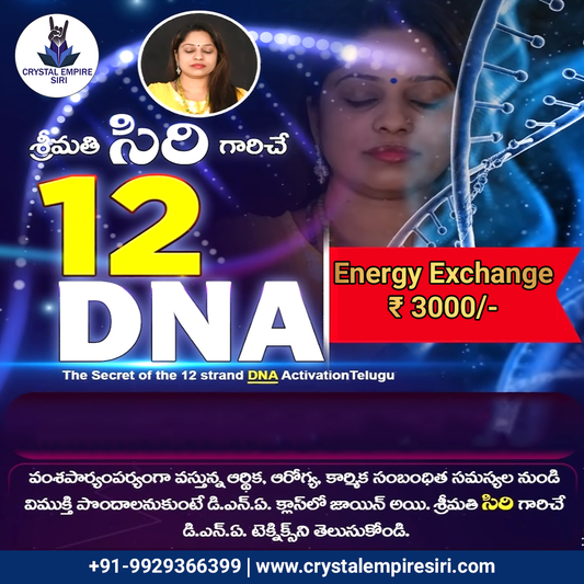 DNA ACTIVATION Telugu Class | 12-Strand DNA Activation Workshop