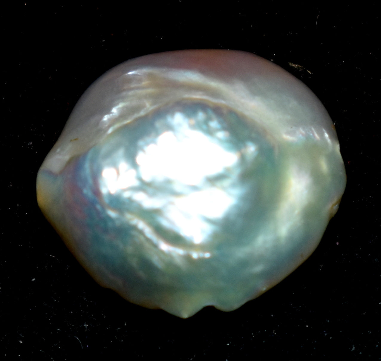 South Sea Pearl - Baroque Saltwater Cultured Pearl