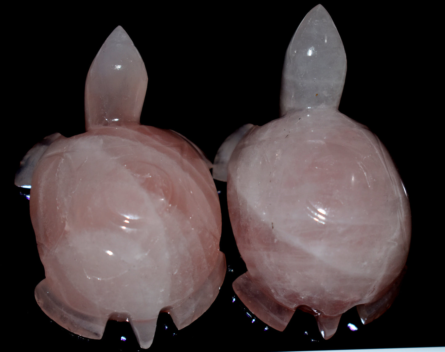 Rose Quartz Tortoise Stone Crystal Turtles