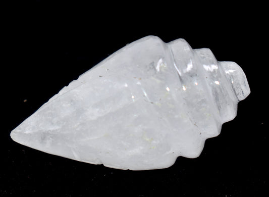 white quartz shank, Quality shank conch,