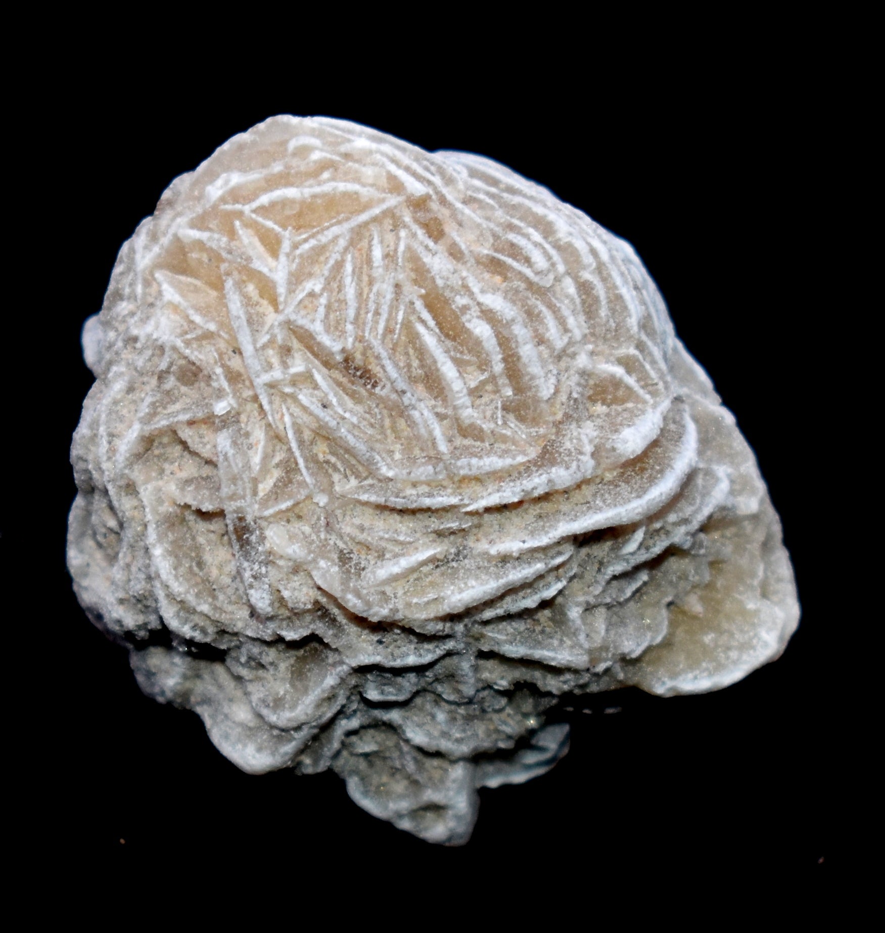 Elegant Desert Rose Crystals – Perfect for Meditation and Healing Practices #DesertRose #CrystalHealing #MeditationTools #SpiritualGrowth #NaturalCrystals