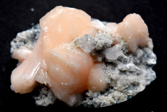 Heulandite on Apophyllite Unakite Crystal Cluster, 333.00 Gram – Spiritual Clarity, Healing & Grounding Energy #HeulanditeCrystal #ApophylliteCluster #UnakiteHealing #HealingCrystals #SpiritualClarity #ChakraHealing #EmotionalHealing #EnergyHealing #GroundingEnergy #CrystalHealing #HolisticWellness #MeditationAid #EnergyCleansing #HealingStone #SpiritualAwakening







