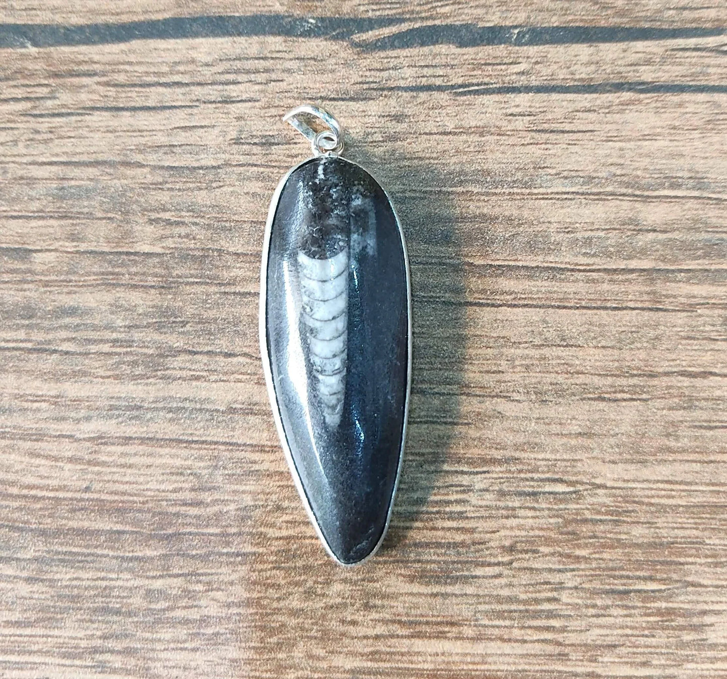 Natural Fossil Pendant |kubera  Crystal for negitivity cleaning