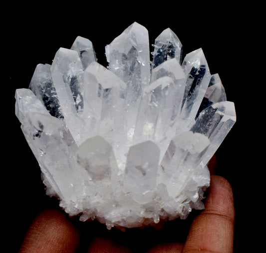 This Natural Clear Quartz Cluster weighs 1.00 KG, known for its powerful healing and clarity properties.
#ClearQuartzCluster #HealingCrystals #NaturalQuartz #CrystalHealing #EnergyHealing #CrystalDecor






