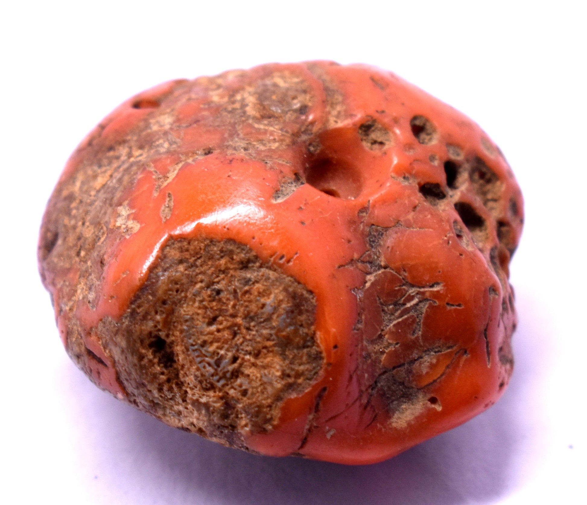 Unique & Natural Red Coral – Enhances Strength, Vitality, and Courage #RedCoral #Strength #Vitality #NaturalGemstone #CrystalHealing