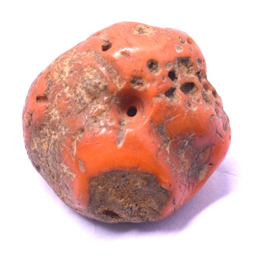 Unique & Natural Red Coral – Enhances Strength, Vitality, and Courage #RedCoral #Strength #Vitality #NaturalGemstone #CrystalHealing