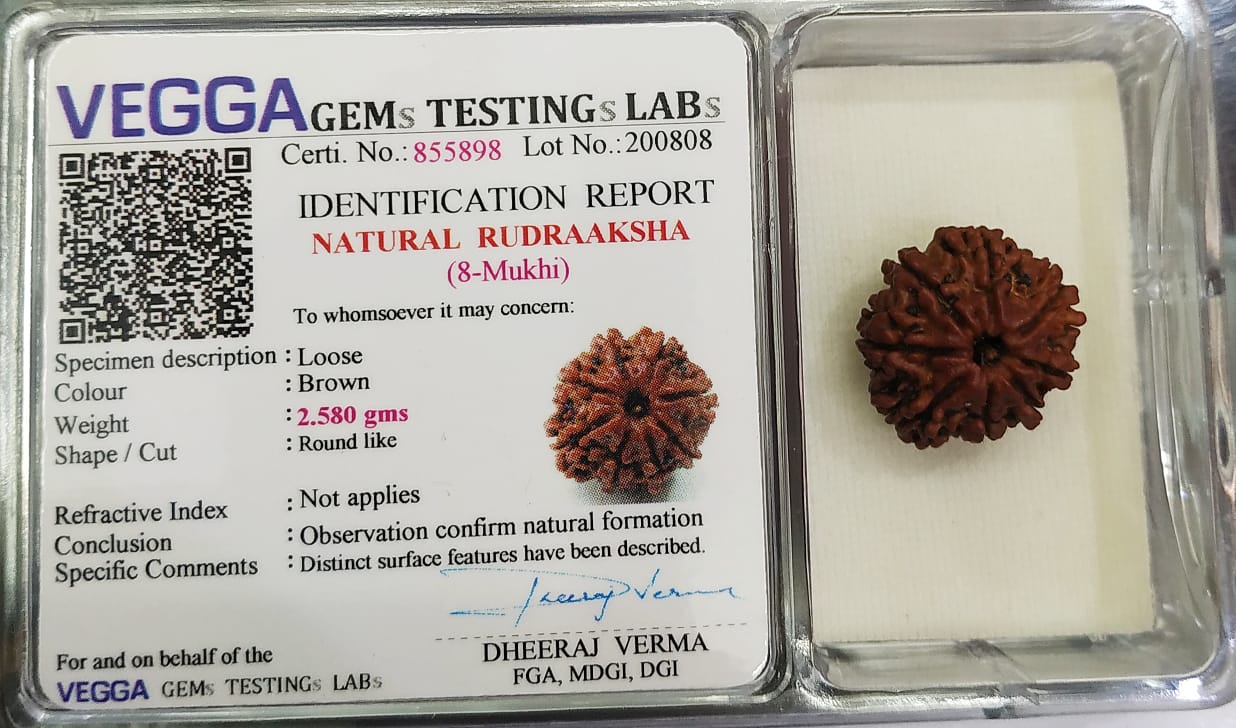 8 Mukhi Rudraksha