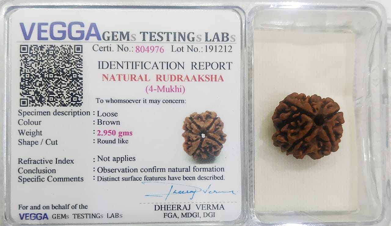 4 Mukhi Rudraksha