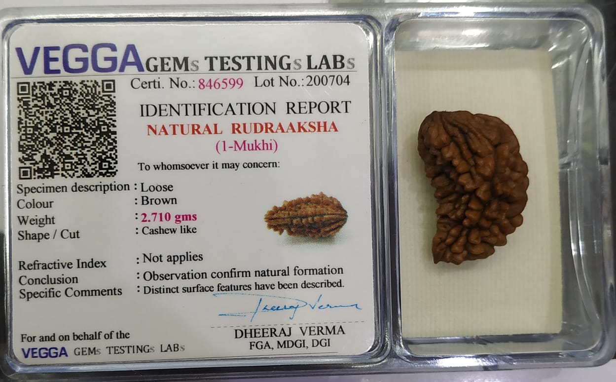 1 Mukhi Rudraksha