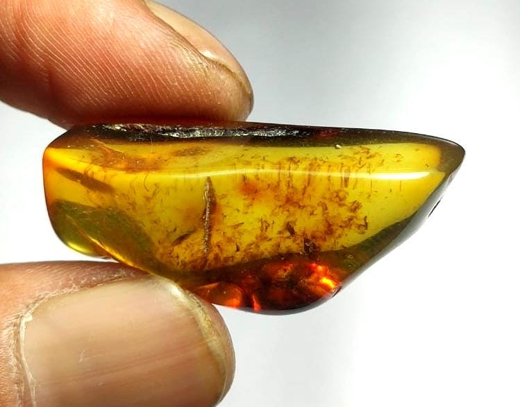 100% Natural Baltic Amber, Welo Polish Rough Amber Gemstone, 21.00 Carat, Size-37x14x12mm, For Home Decor, Amber Healing Gifts,