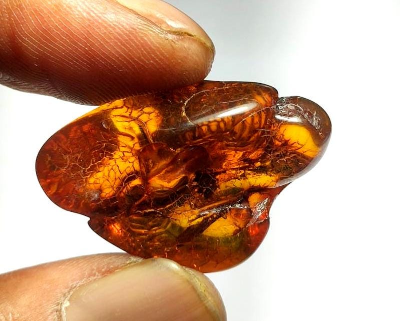 100% Natural Baltic Amber, Welo Polish Rough Amber Gemstone, 23.40,Carat, Size-33x22x14mm, For Home Decor, Amber Healing Gifts,