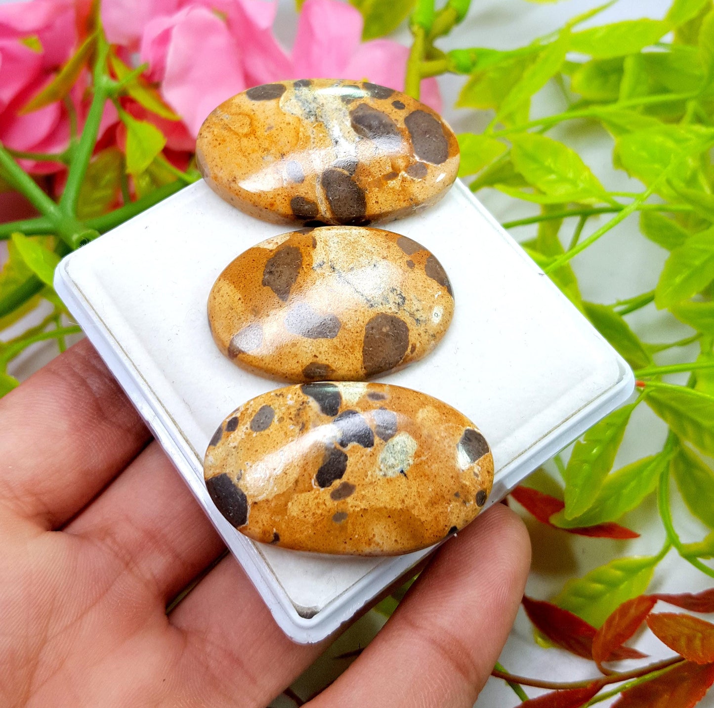 Jasper, Natural Picture Jasper, Oval Smooth Cabochon Gemstone Lot, 124.15 Carat, Size-39x24x6mm To 34x23x5mm, For Jewelry Making,