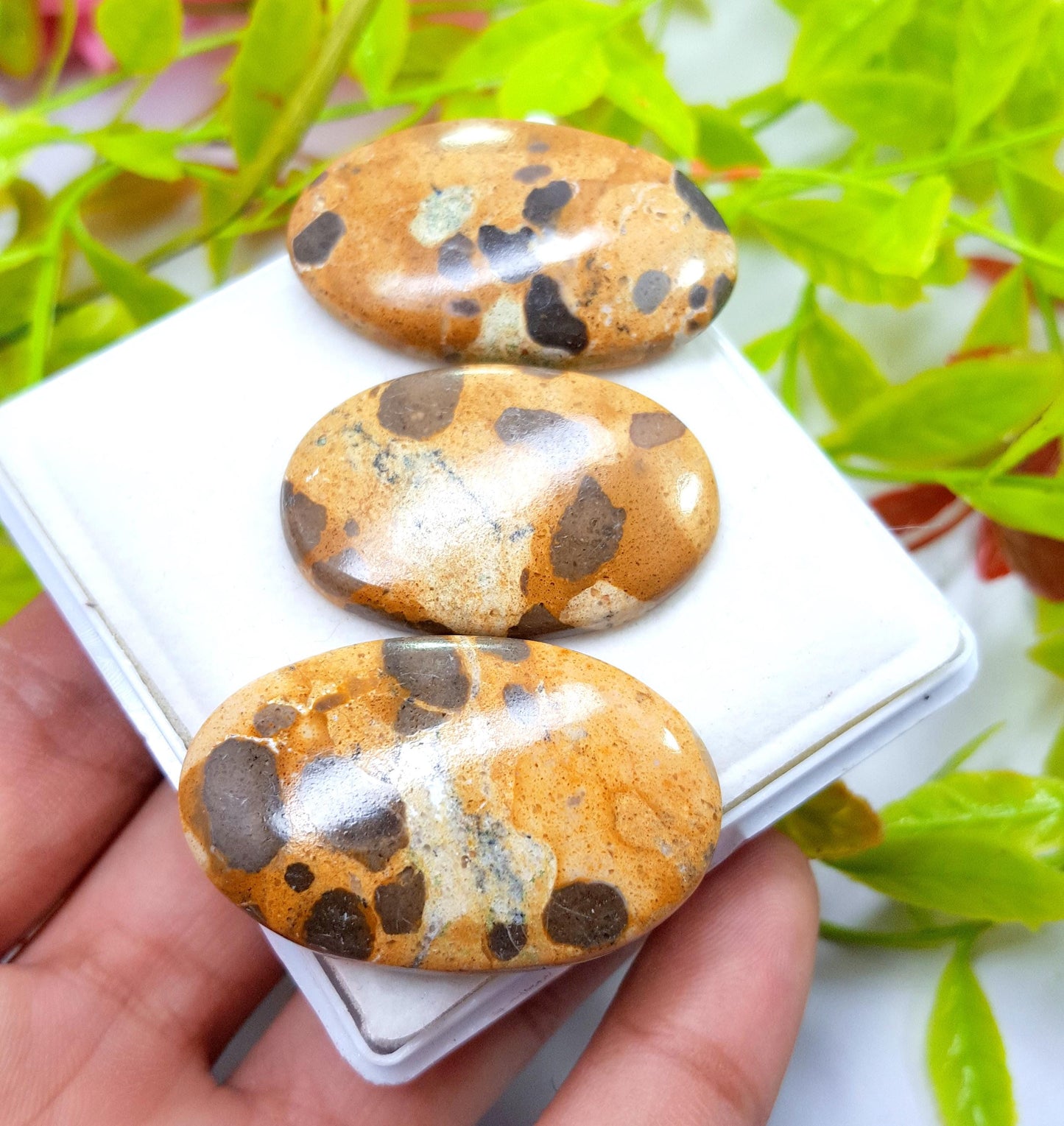 Jasper, Natural Picture Jasper, Oval Smooth Cabochon Gemstone Lot, 124.15 Carat, Size-39x24x6mm To 34x23x5mm, For Jewelry Making,