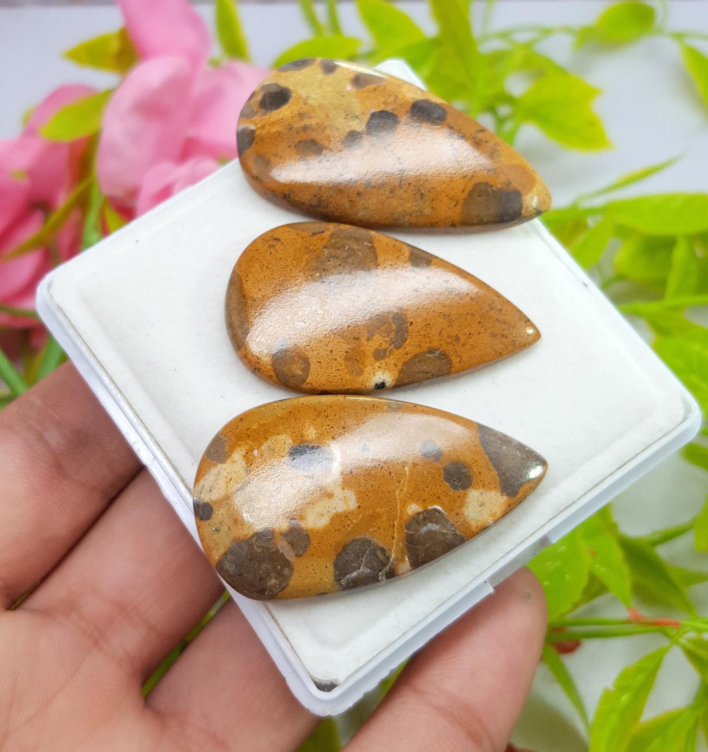 Jasper, Natural Picture Jasper, Pear Smooth Cabochon Gemstone Lot, 99.99 Carat, Size-40x21x5mm To 38x21x4mm, For Jewelry Making,