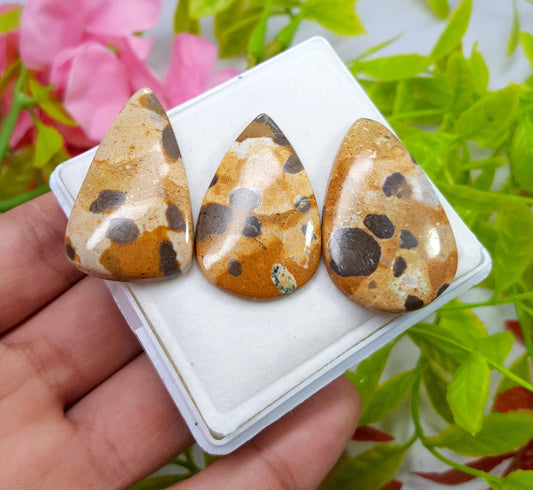 Jasper, Natural Picture Jasper, Pear Smooth Cabochon Gemstone Lot, 98.10 Carat, Size-38x24x5mm To 36x22x4mm, For Jewelry Making,