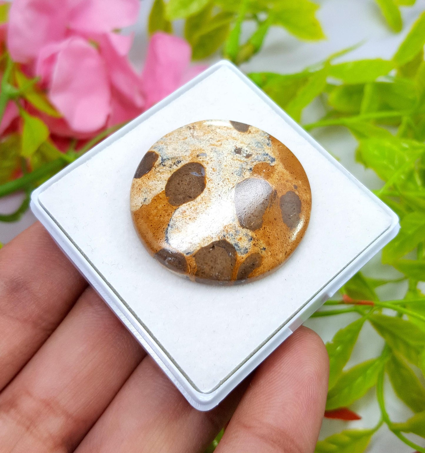 Jasper, Natural Picture Jasper, Round Smooth Cabochon Loose Gemstone, 47.20 Carat, Size-32x32x5mm, For Jewelry Making,