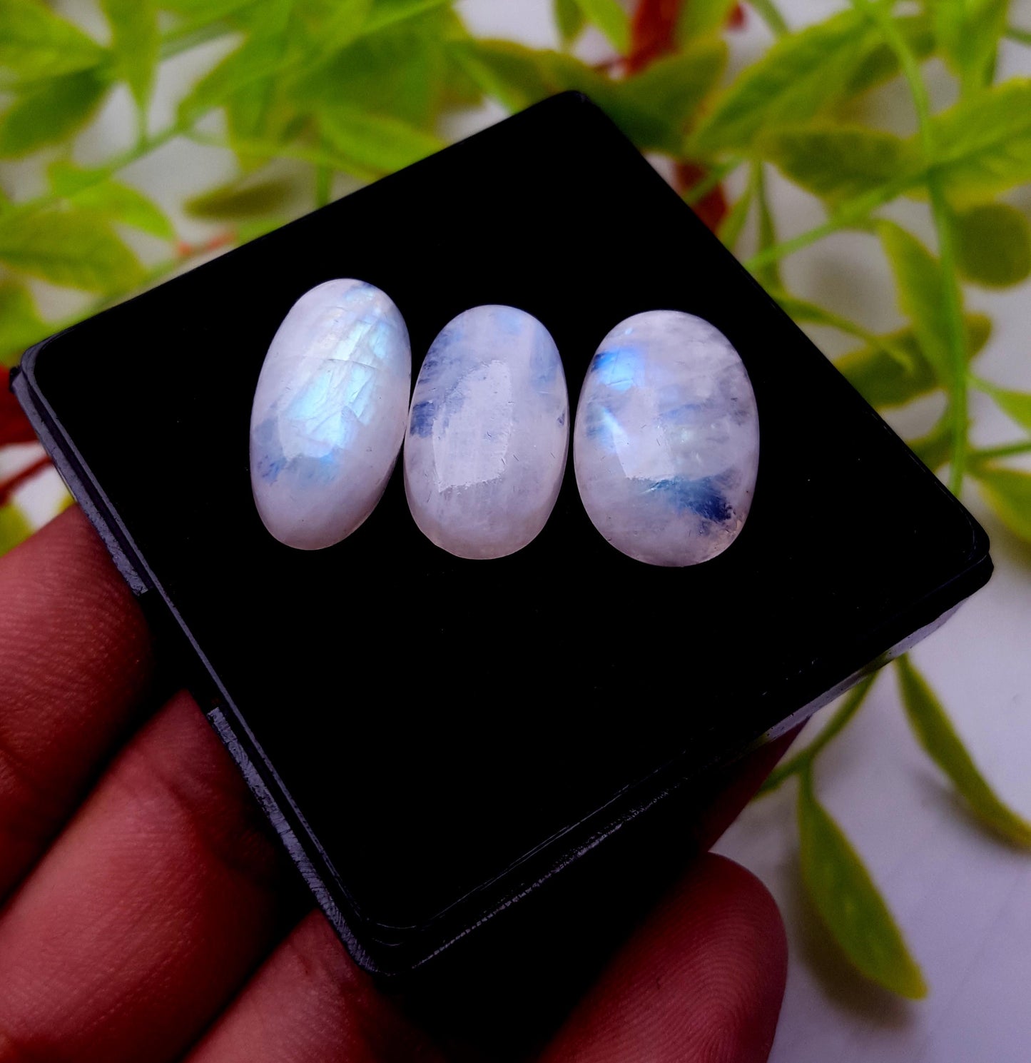 Moonstone, Natural Rainbow Moonstone, Oval Smooth Cabochon Gemstone Lot, 34.60 Carat, Size-19x12x6mm To 19x11x5mm, Gift For Her, PC-3