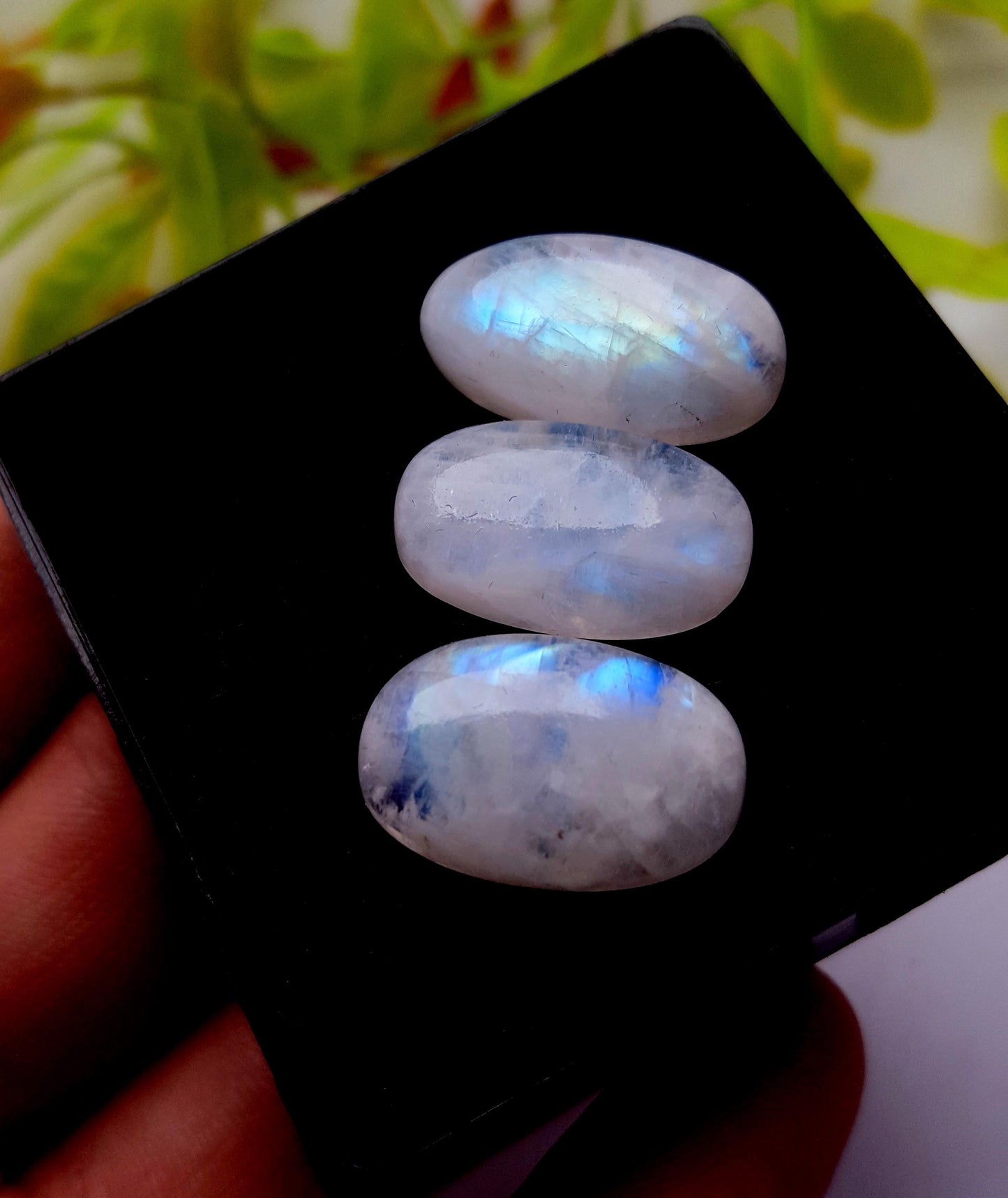 Moonstone, Natural Rainbow Moonstone, Oval Smooth Cabochon Gemstone Lot, 34.60 Carat, Size-19x12x6mm To 19x11x5mm, Gift For Her, PC-3