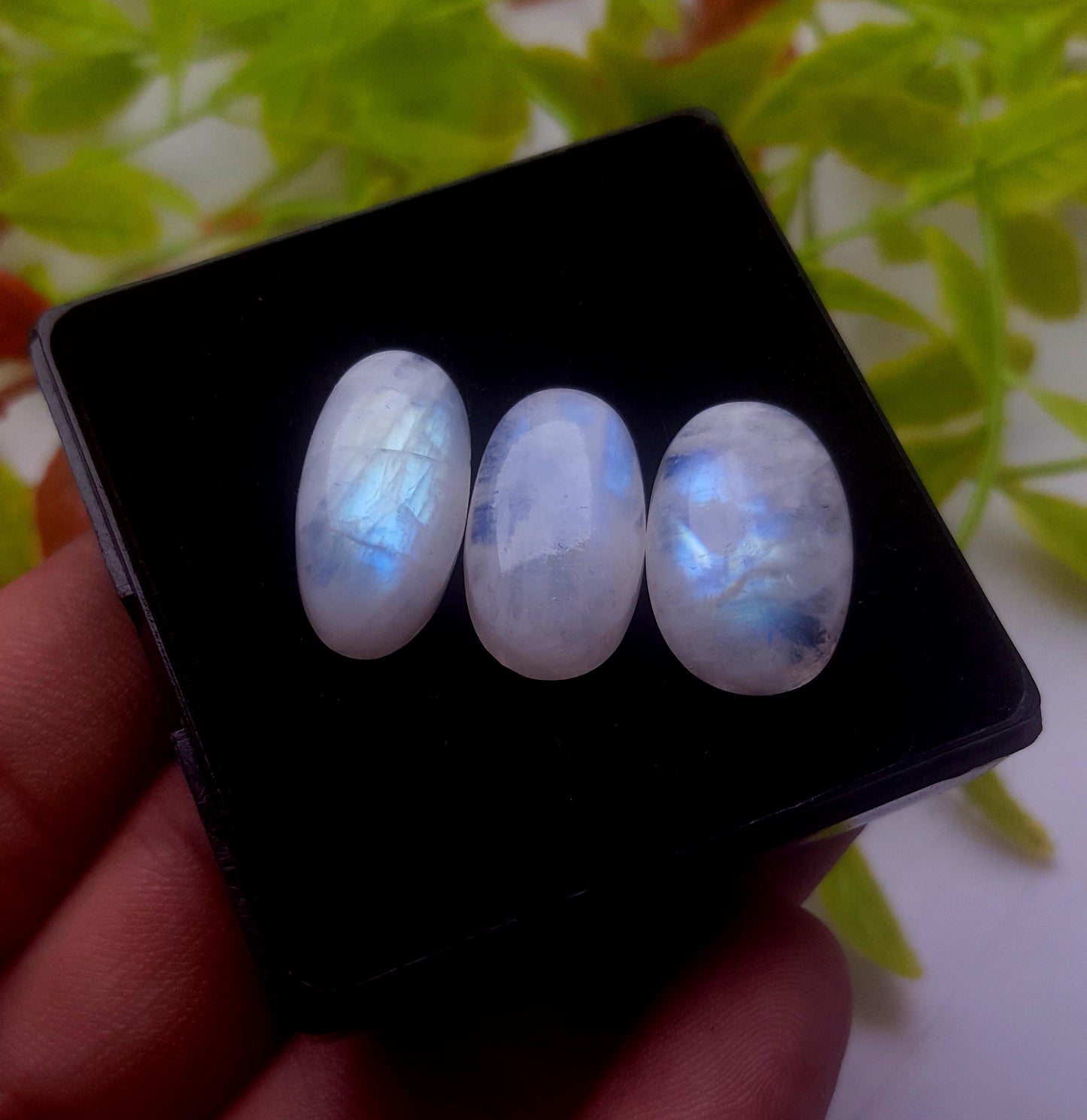 Moonstone, Natural Rainbow Moonstone, Oval Smooth Cabochon Gemstone Lot, 34.60 Carat, Size-19x12x6mm To 19x11x5mm, Gift For Her, PC-3