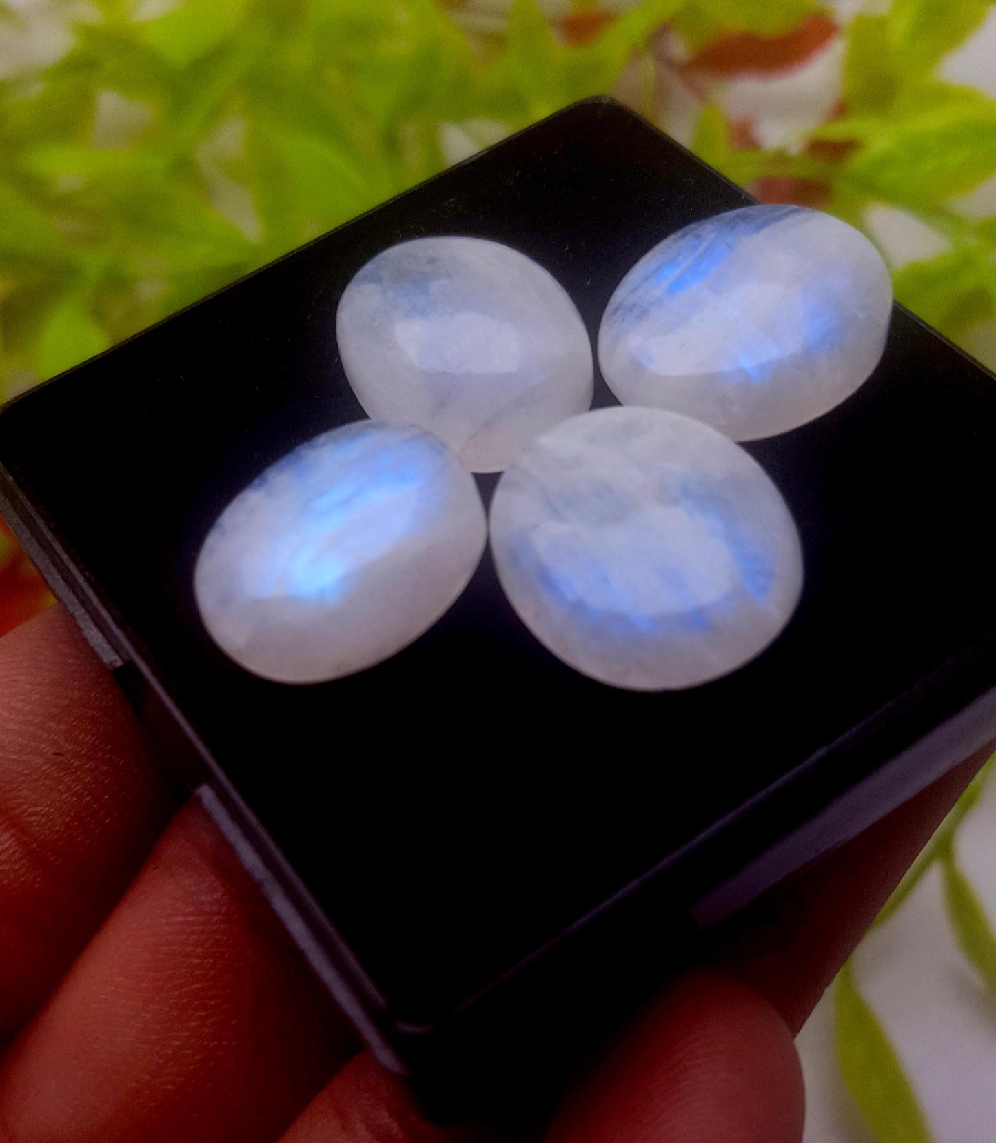 Moonstone, Natural Rainbow Moonstone, Oval Smooth Cabochon Gemstone Lot, 46.60 Carat, Size-18x15x5mm To 16x13x5mm, Gift For Her, PC-4