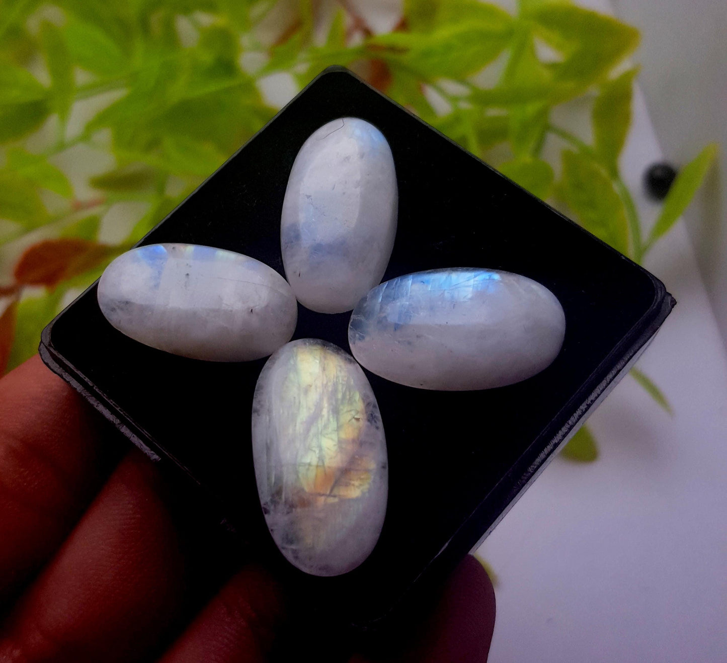 Genuine & Natural Rainbow Moonstone, Oval Smooth Cabochon Gemstone Lot, 63.10 Carat, Size-25x13x4mm To 22x12x5mm, Gift For Her, PC-4